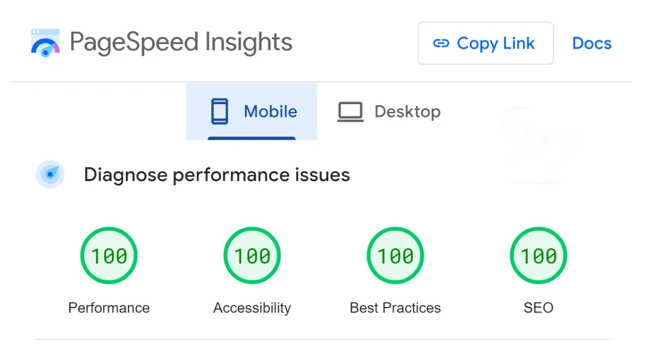 Niche Lightning PageSpeed Insights